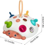 Juguete Erizo Sensorial 4 en 1 Pop Fidget - Silicona Calidad Alimentaria y Concentración - Imagen 3